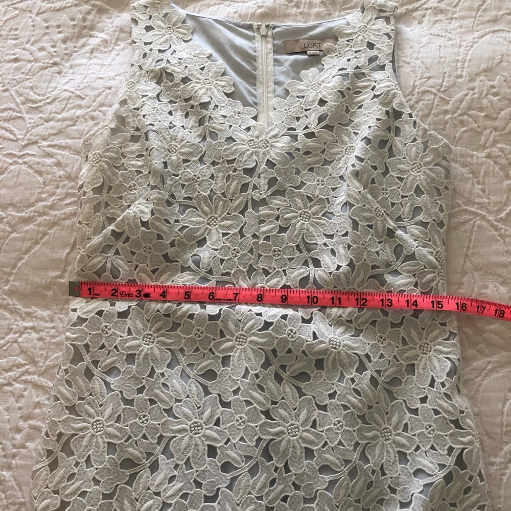 HP LOFT Lace Dress with Pale Blue Underlay NWT Women’s Size 8P - Picture 7 of 9